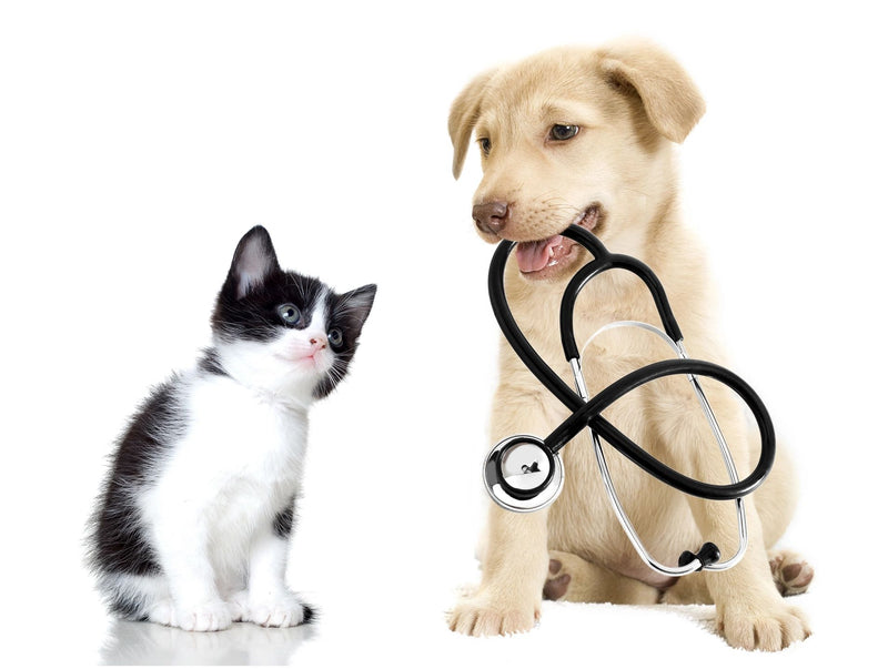 Stoley's Vets