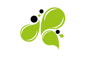 Lime Design Studio