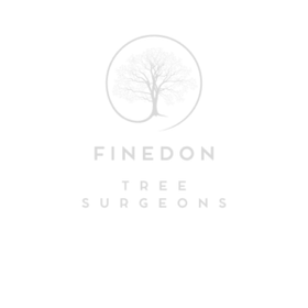 Finedon Tree Surgeons