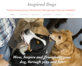 Inspired Dogs