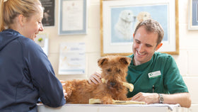 Abington Park Veterinary Group