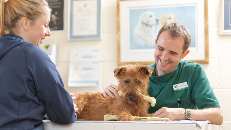 Abington Park Veterinary Group