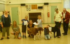 Affinity Dog Training