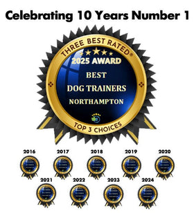 Nathan Watson Dog Behaviour