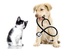 Stoley's Vets