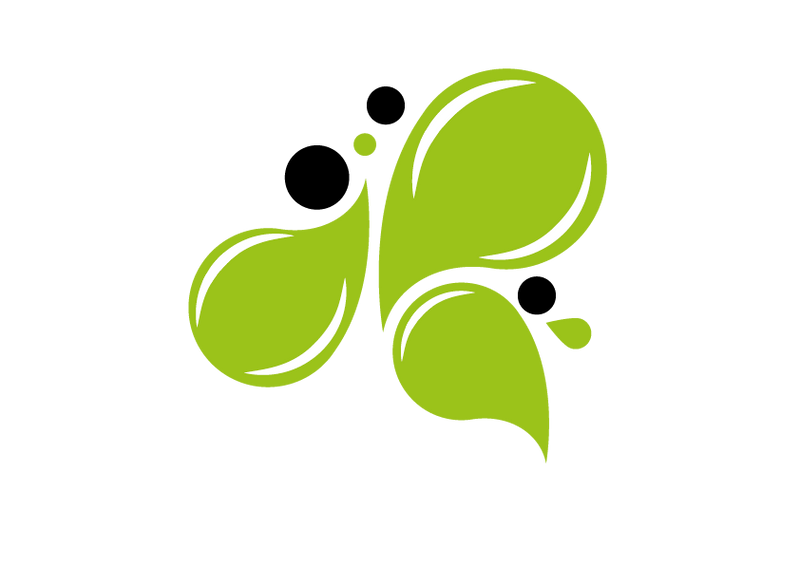 Lime Design Studio