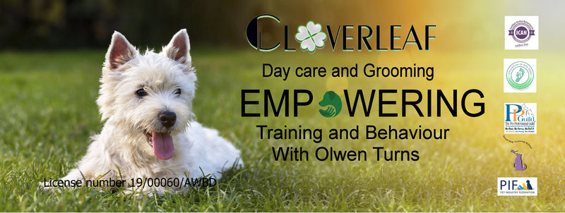 Cloverleaf Canine Centre