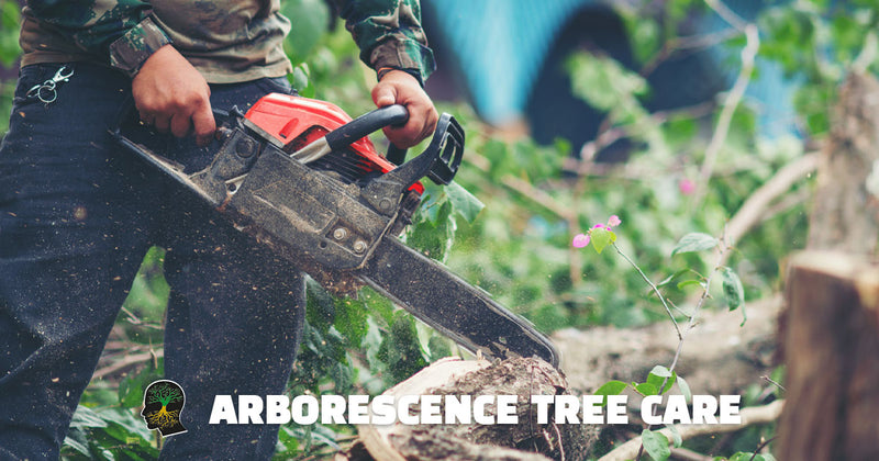 Arborescence Tree Care