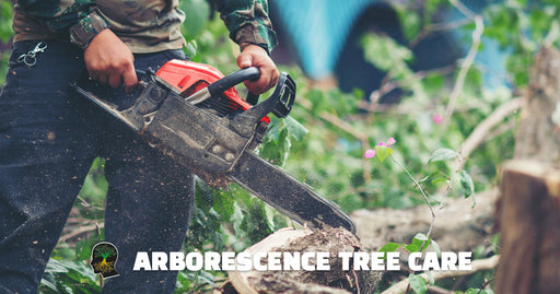 Arborescence Tree Care
