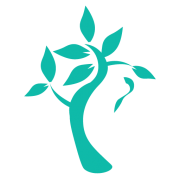 All Aspects Tree Services