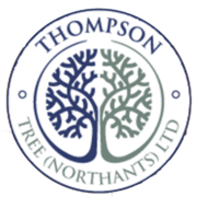 Thompson Tree Northants