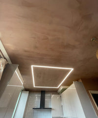 Fully Plastered - Ceiling Work