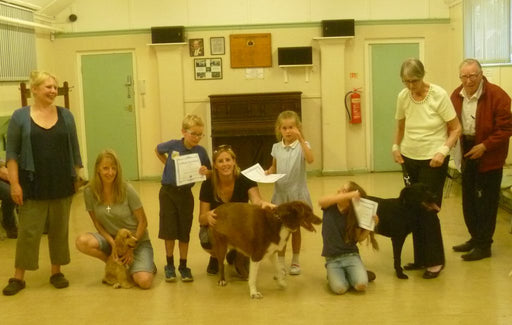 Affinity Dog Training