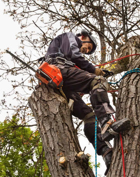 Essential Tree Services Ltd